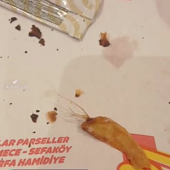 Hey Döner Şikayetçiyim Bu Konuda