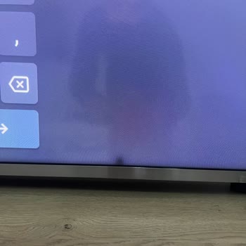 Garanti Kapsamındaki Televizyonda Panel İçine Giren Sinek Nedeniyle Ücretli Onarım Talebi