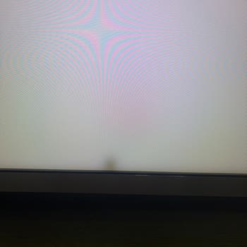 Garanti Kapsamındaki Televizyonda Panel İçine Giren Sinek Nedeniyle Ücretli Onarım Talebi