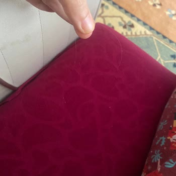 Kavrulmuş Yer Fıstığından Kıl Çıkması Hijyen Sorunu Ve İade Talebi