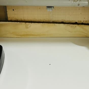 Arıtma Cihazı Filtre Değişimi Sonrası Su Baskınları Ve Kaba Servis Davranışı