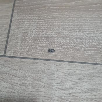 GAP Turunda Konaklama, Yemek Ve Program Kalitesizliği