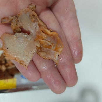 Çiğ Ve Deri Parçaları İçeren Erpiliç Piliç Döner Şikayeti