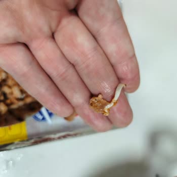 Çiğ Ve Deri Parçaları İçeren Erpiliç Piliç Döner Şikayeti