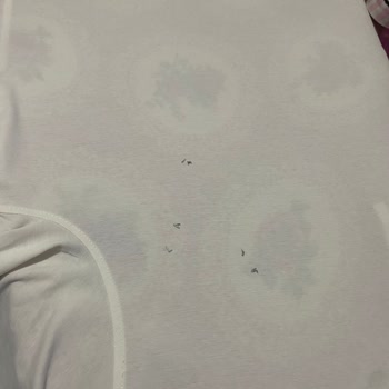 Lufian Tişörtün Logosu İlk Ütüde Ayrıldı; Mağaza Cevapsız Ve İade Talebi