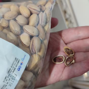 Eskişehir Vega Carrefour'dan Alınan Bayat Ve Küflü Antep Fıstığı İçin İade Talebi