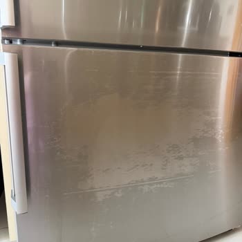 Bosch KGN86AI42N Refrigerator Door Coating Peeling Problem
