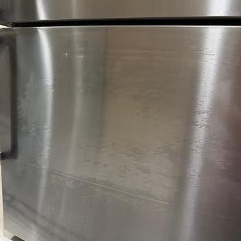 Bosch KGN86AI42N Refrigerator Door Coating Peeling Problem