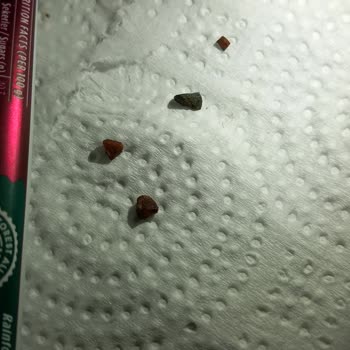 Kahve Dünyası Çikolatasında Taş Çıktı, Sağlık Riski