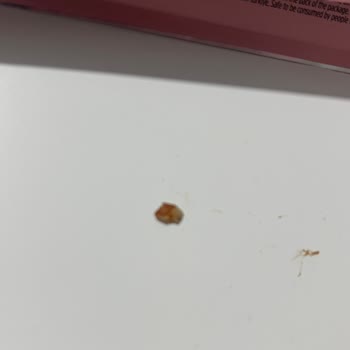 Fellas Çilekli Meyve Barında Sert Yabancı Madde Ve Diş Kırılma Riski