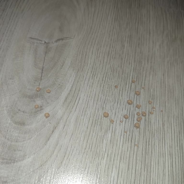 Cansın Mobilya Montaj Ekibi Parkete Delik Bıraktı Ve Tazminat İstiyor