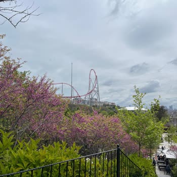 Vialand'de Kalabalık Ve Sıra Sorunu