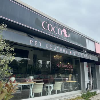 Coco Pet Boutique & SPA Ne Profesyonellik Ne De Gerçek Anlamda Hayvan Sevgisi