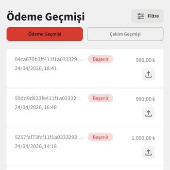 Egebet Sahte Lisans Ve Ödeme Sorunları