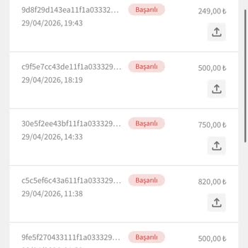 Egebet Sahte Lisans Ve Ödeme Sorunları