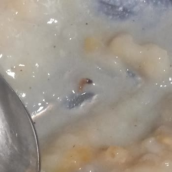 Dr. Oetker Aşure Ürününün İçinde Solucan Tespiti