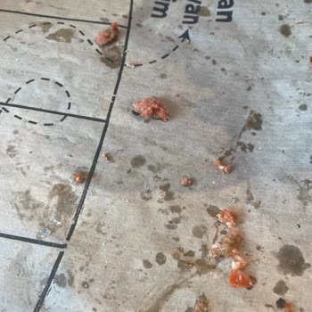 Pidem Lahmacunu Çiğ Ve Sağlık Riski Oluşturdu