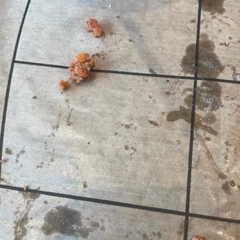 Pidem Lahmacunu Çiğ Ve Sağlık Riski Oluşturdu