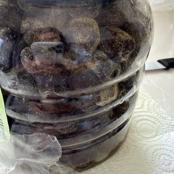 Kavlak Zeytin'in Küflü Zeytin Ürünü İçin Çözüm Talebi