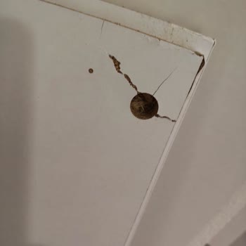 Kırık Dolap Kapısı Ve BİM Homendra'dan Cevapsızlık
