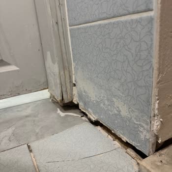 Hijyen Sıfır, Pas Ve Küf İçindeki Otelde Ayrıcalıklı Üyelere Zorunlu Yerleştirme