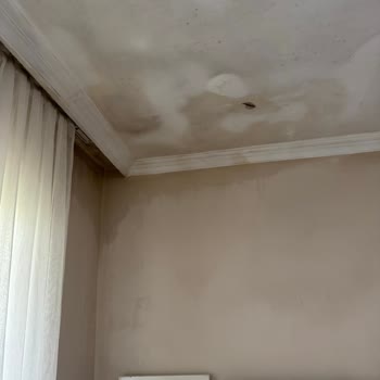 Hijyen Sıfır, Pas Ve Küf İçindeki Otelde Ayrıcalıklı Üyelere Zorunlu Yerleştirme