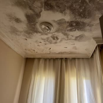 Hijyen Sıfır, Pas Ve Küf İçindeki Otelde Ayrıcalıklı Üyelere Zorunlu Yerleştirme