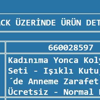 Express Kargo Gecikmesi Ve Takip Bilgisi Yokluğu Nedeniyle Mağduriyet