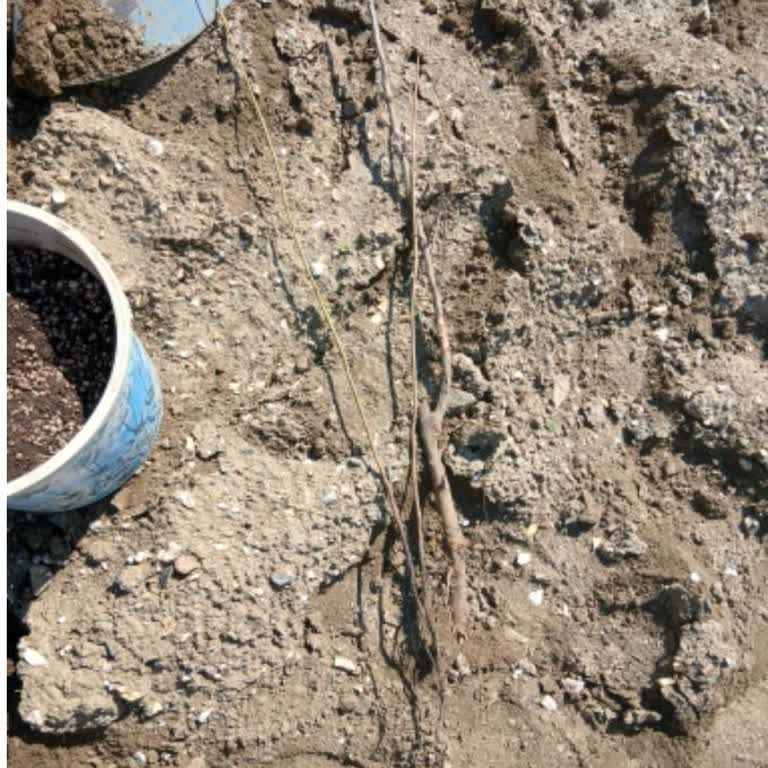 Eksik Ve Yanlış Ürün Gönderimi İçin İade Talebi