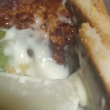 Trendyol Yemek'te Yanmış Sandviç Ve Siyah Yabancı Madde İçeren Siparişime İade Reddi