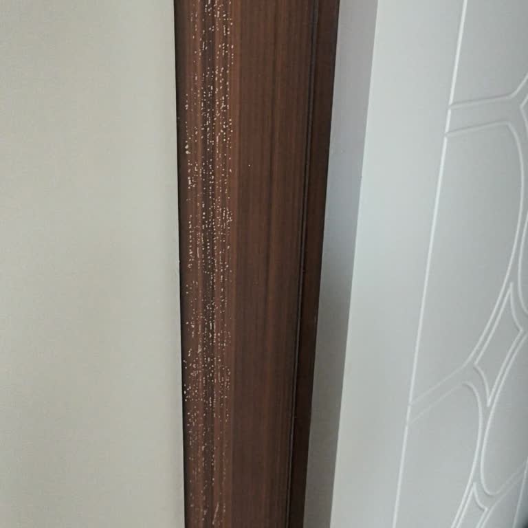 Aksigorta Kapı Boya Hasarımın Kapsam Dışında Bırakılması