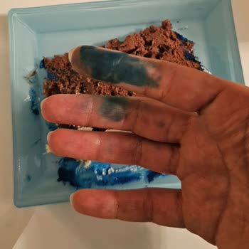 Kalitesiz Renklendirici Nedeniyle Doğum Günü Pastası Çöpe Atıldı