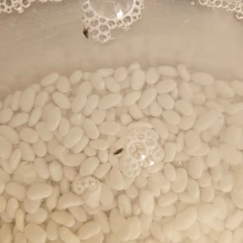 Böcekli Kuru Fasulye, Bayat Kıyma Ve Çürük Erik İçeren Migros Siparişi