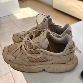 Adidas Ozmillen Ayakkabısındaki Sürekli Ses Sorunu Ve Onarım Talebi