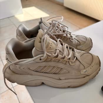 Adidas Ozmillen Ayakkabısındaki Sürekli Ses Sorunu Ve Onarım Talebi
