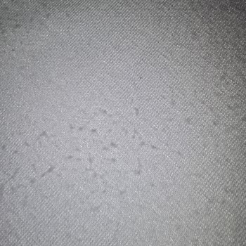 İnce Topuk Bambu T‑Shirt İlk Kullanımda Pamuklanma Ve Tüylenme, İade Talebi Reddedildi