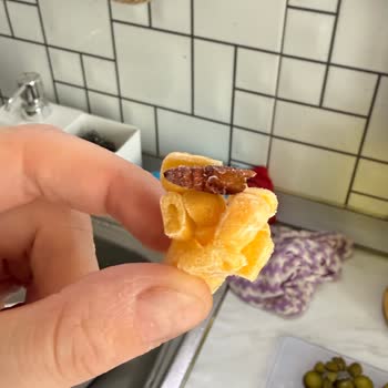 Muti Donmuş Tatlı Mısırda Böcek Bulunması Ve Hijyen Şikayeti