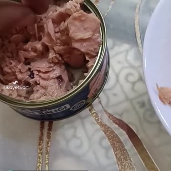 Derya Ton Balığı Boğazımıza Kaçtı Ölüyordum!