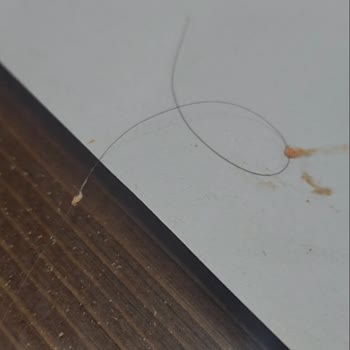 Menemende Kıl Bulunması Nedeniyle İade Ve Hijyen Kontrolü Talebi