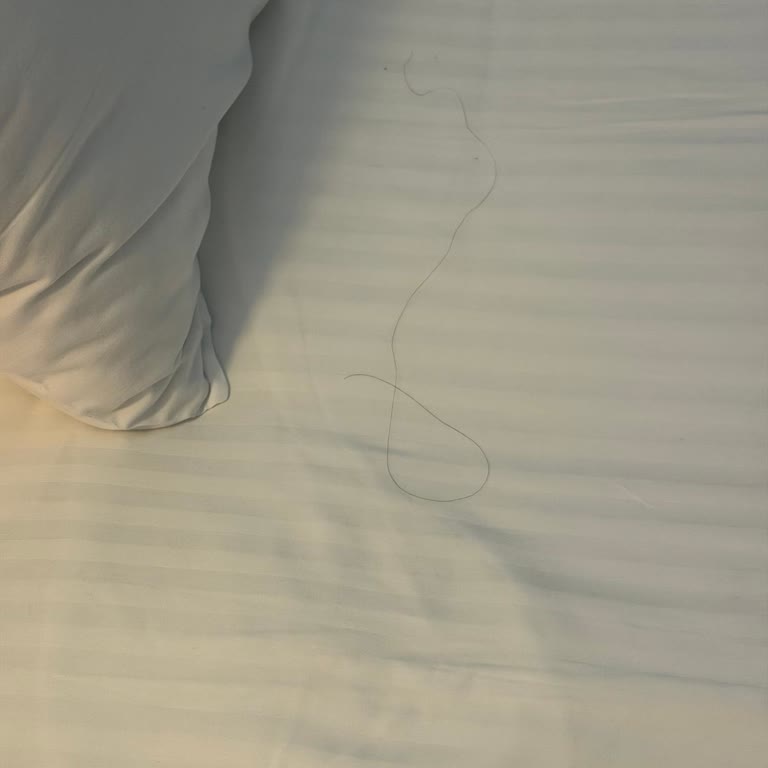 Kaya Otel İzmir’de Temizlik Sorunları Tekrarlıyor
