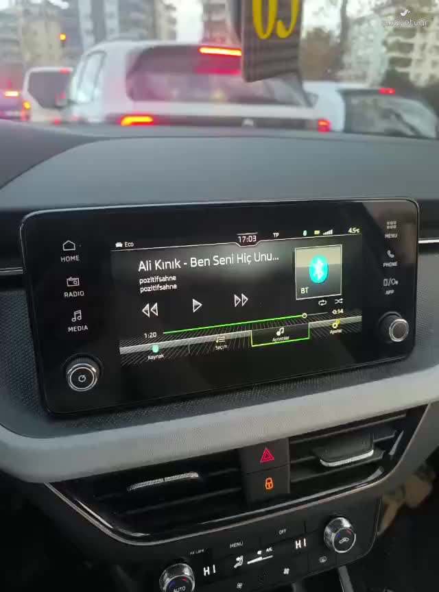 My 2025 Skoda Kamiq Has Repeated Transmission and Oil Consumption Problems video cover