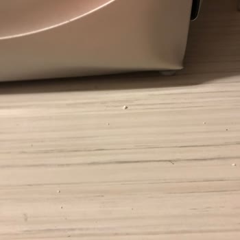 Servis Elemanının Çamaşır Makinesine Verdiği Darbe Ve Sonrasındaki İlgisizlik