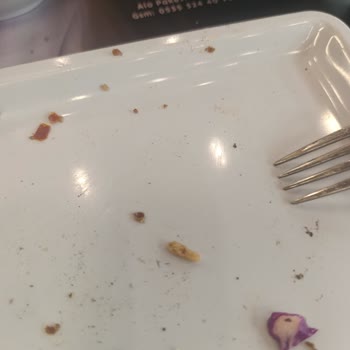 Lahmacun İçinde Kemik Parçası Bulunması Ve Yetersiz Telafi