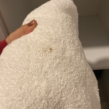 Bungalovda Hijyen Kirliliği Ve İade Talebi