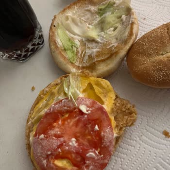 Popeyes Siparişindeki Donmuş Ve Eksik Ürünler Nedeniyle İade Talebi