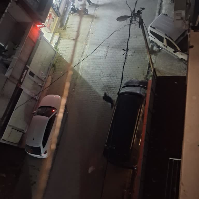 İstanbul Esenyurt Pınar Mahallesinde Sokak Lambası Çalışmıyor, Güvenlik Tehlikesi