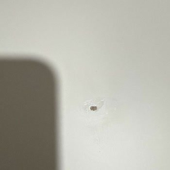Astella Mobilya İnegöl Kafalarına Göre İş Yapmaları