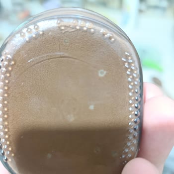 Nutella Kavanozunda Kabarcıklar Ve Sağlık Endişesi