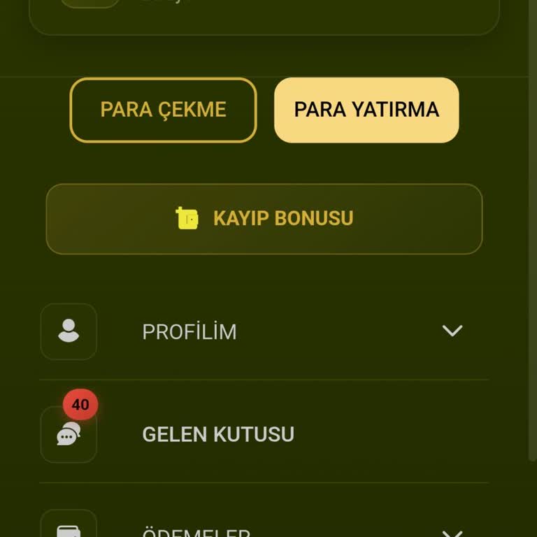 Çoklu IP Girişi Sebebiyle Silinen 1.800 TL Kazancım Geri Yüklenmeli