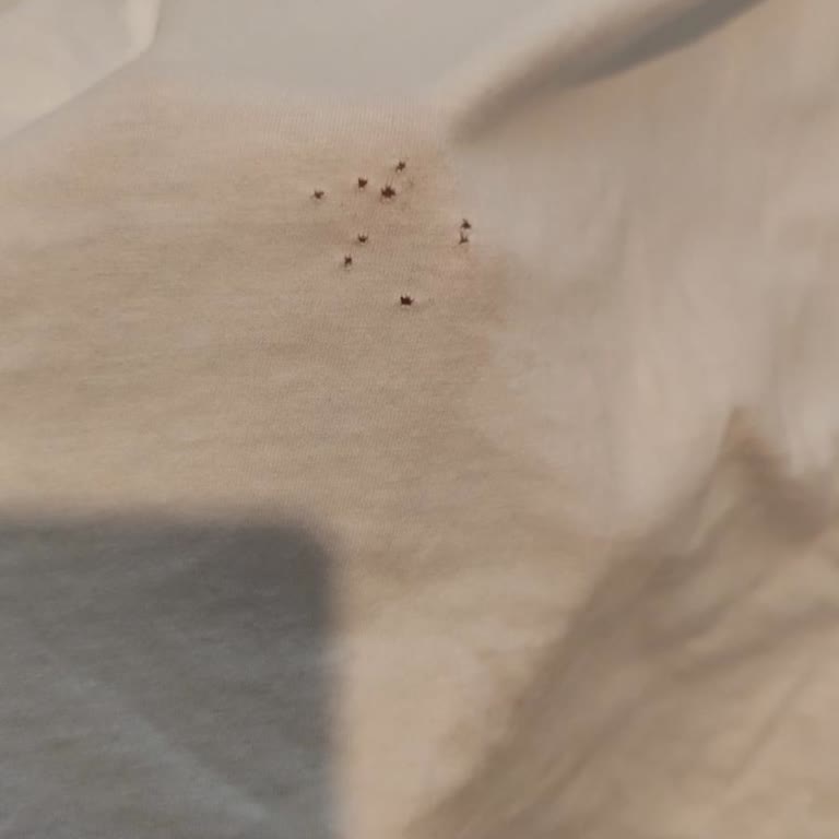 Defolu Tişört Değişiminde Mağaza Zorunluluğu Ve Kargo Talebimin Reddedilmesi